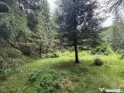 Teren intravilan de vânzare-COMANDAU /COVASNA-2500mp 