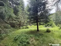 Teren intravilan de vânzare-COMANDAU /COVASNA-2500mp