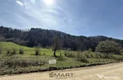 Teren Extravilan Zizin/Tarlungeni 7300 mp 