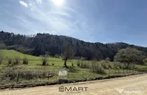 Teren Extravilan Zizin/Tarlungeni 7300 mp