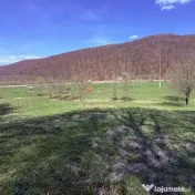 Teren Extravilan Zizin/Tarlungeni 7300 mp 