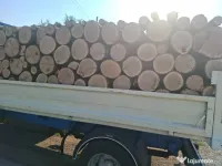 Lemne de foc esență tare 