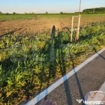 Teren de vanzare, 10000 mp, zona Sacalaz