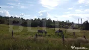 De vanzare teren Rasca - cu o panorama superba!!! 