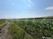 Teren intravilan, 1900 mp, sat Sandulesti 