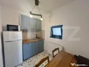 Garsonieră 40 mp, centrala si AC, zona Centru-Universitate 