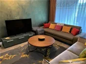 Apartament deosebit cu trei camere Silver Mountain 