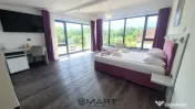 Pensiune moderna 12 camere 4600 mp Valea Avrigului 