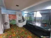 Mansarda spatiu birou/afacere, zona Judecatorie 