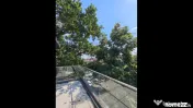 Penthouse - Parcul Carol - Bloc Nou