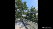 Penthouse - Parcul Carol - Bloc Nou 