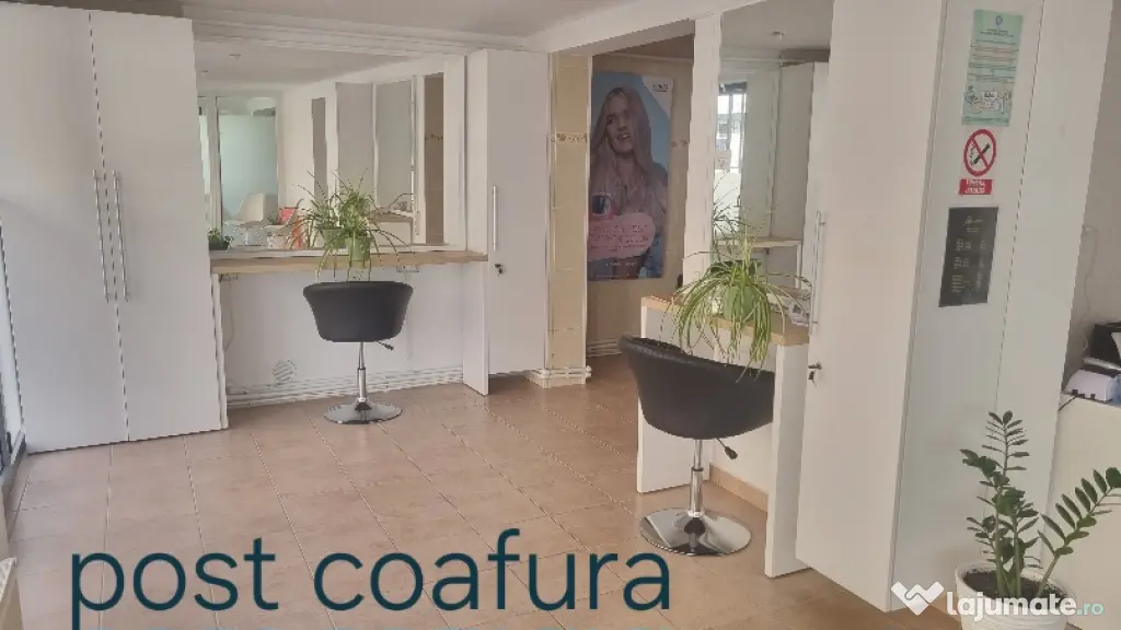 🌸🌸🌸cofeza🌸🌸🌸