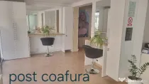 🌸🌸🌸cofeza🌸🌸🌸