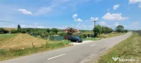 Teren 3100 mp caban#259; poten#539;ial investi#539;ional #53 