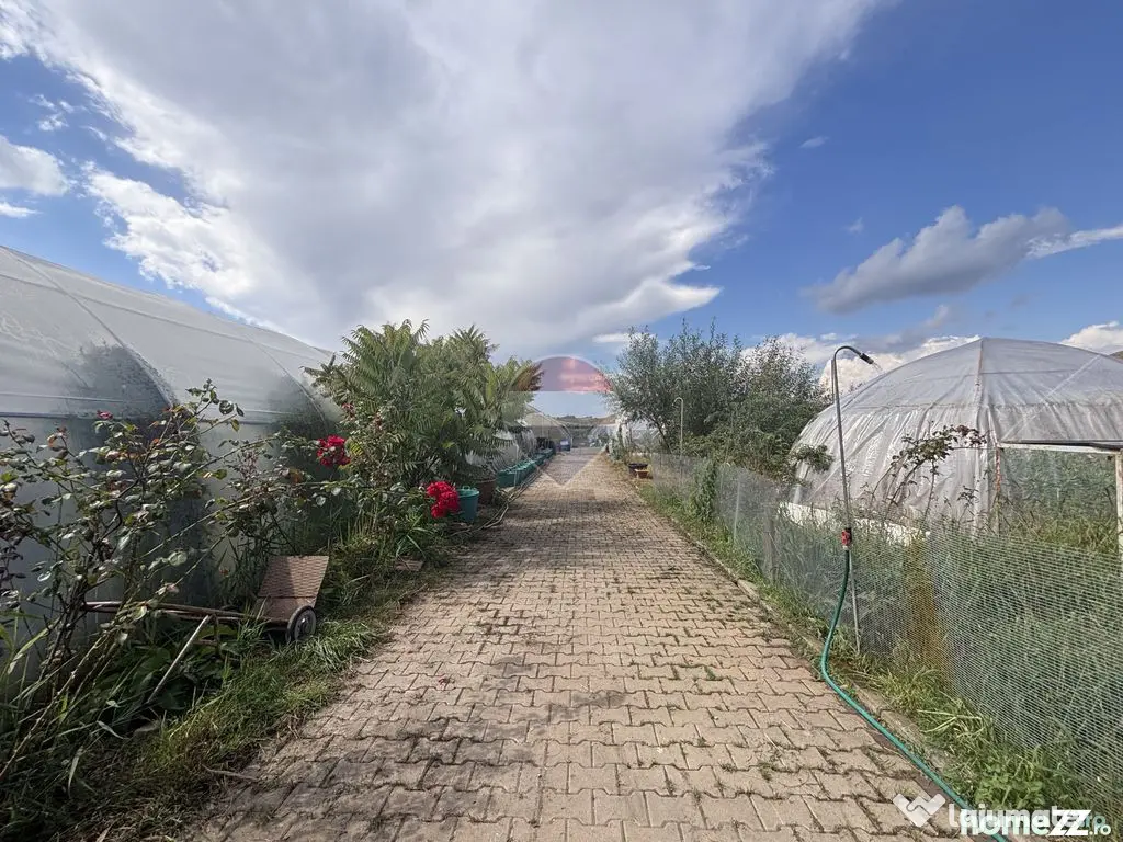 Teren 9,500 mp cu sere si utilitati langa DN 14 - Sura Mare (Sibiu)