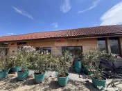 Teren 9,500 mp cu sere si utilitati langa DN 14 