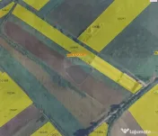 Teren 9,500 mp cu sere si utilitati langa DN 14