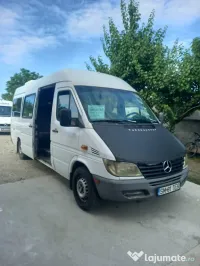 Microbuz Mercedes Sprinter 313 CDI 