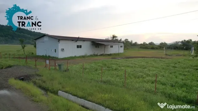 COMISION 0% Hala noua de 317 m2, intr-o zona feerica, in Usu