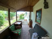 Casa si teren in comuna Vedea 