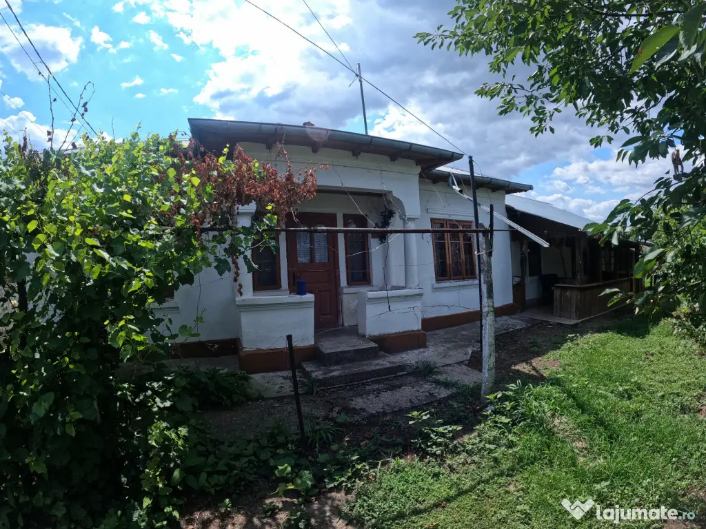 Casa si teren in comuna Vedea