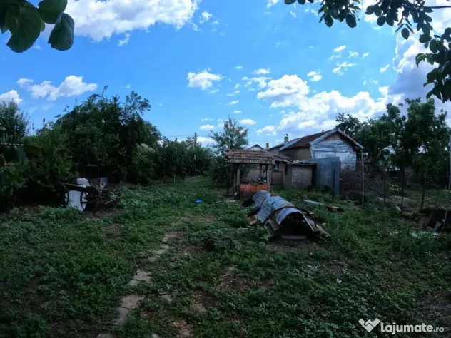 Casa si teren in comuna Vedea
