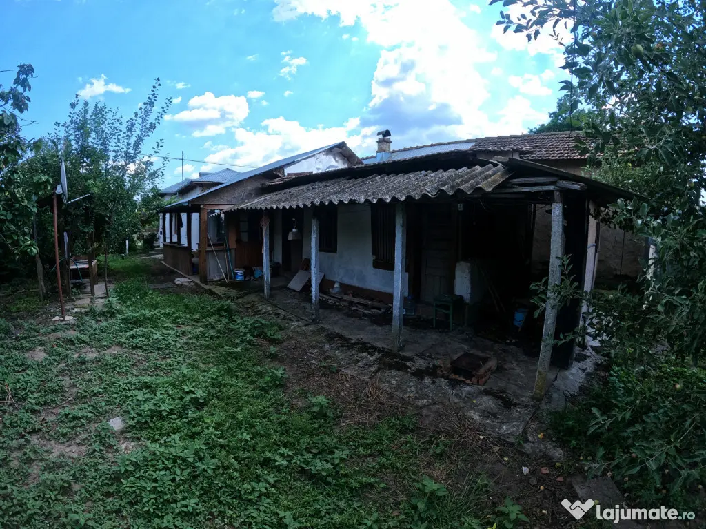 Casa si teren in comuna Vedea