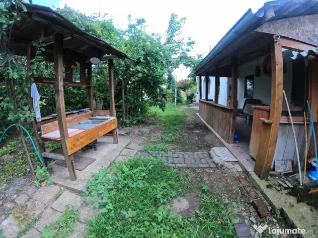 Casa si teren in comuna Vedea