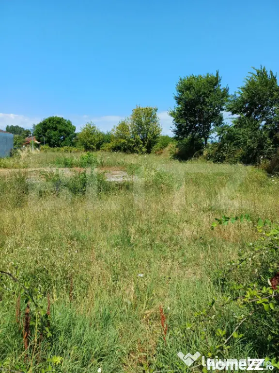 Teren de vânzare, intravilan, 20 ari, Moara Nica