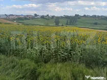 Teren de vânzare, intravilan, 20 ari, Moara Nica