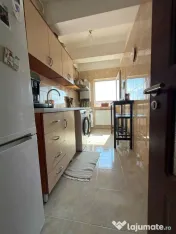 Dimitrie leonida etaj 3 drumul fermei