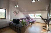 Casă / Vilă cu 8 camere de vânzare 