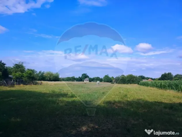 Casă cu teren 5.447 mp și dublu acces | Valea Vinului