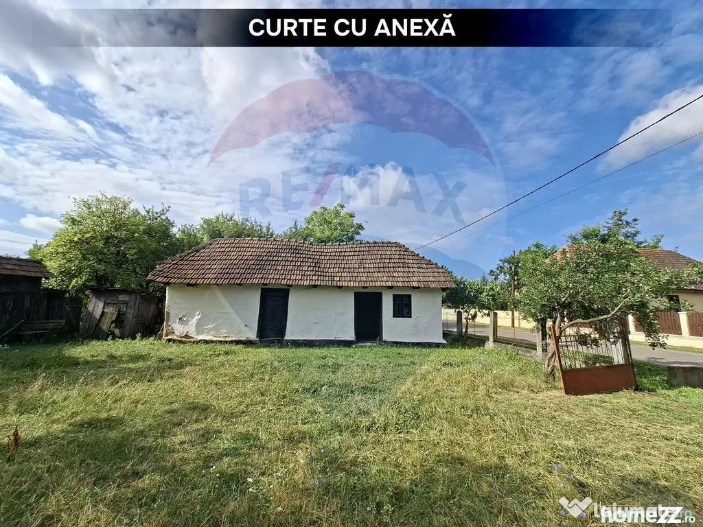Casă cu teren 5.447 mp și dublu acces | Valea Vinului - Satu Mare (Satu-Mare)