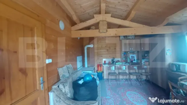 Cabană cu teren de 18 ari, livadă–o adevărată oază d