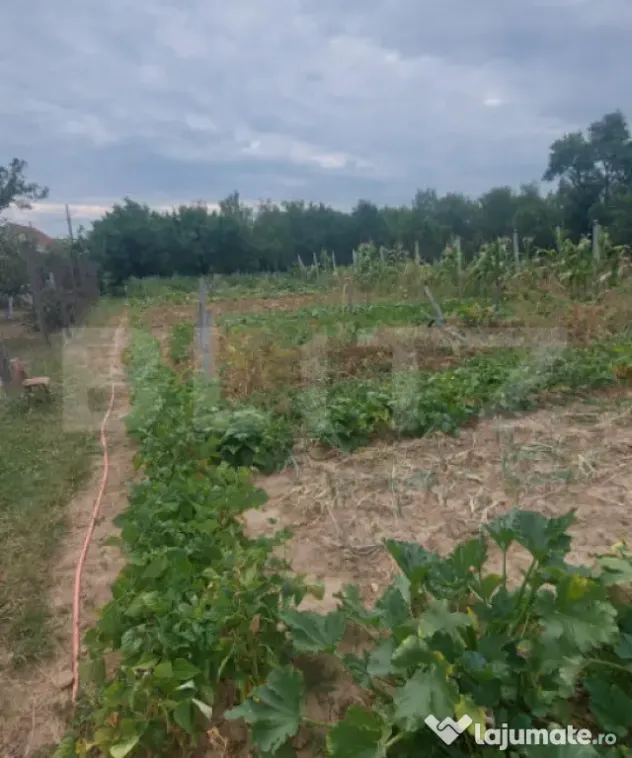 Cabană cu teren de 18 ari, livadă–o adevărată oază d