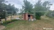 Cabană cu teren de 18 ari, livadă–o adevărată oază d 