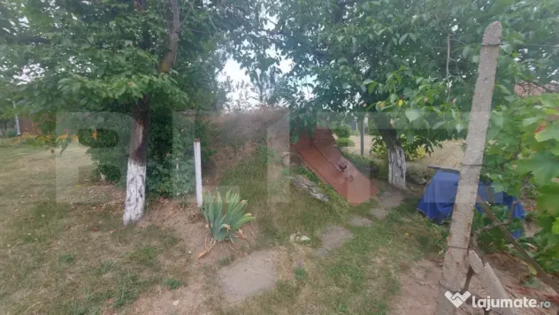 Cabană cu teren de 18 ari, livadă–o adevărată oază d