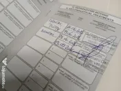 Caței Bichon vaccinati deparazitati