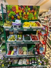 Magazin complet reorganizare 
