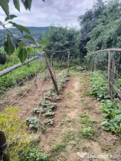 CASA SPATIOASA DE VINZARE CE OFERA CONFORT SI LINISTE SITUAT