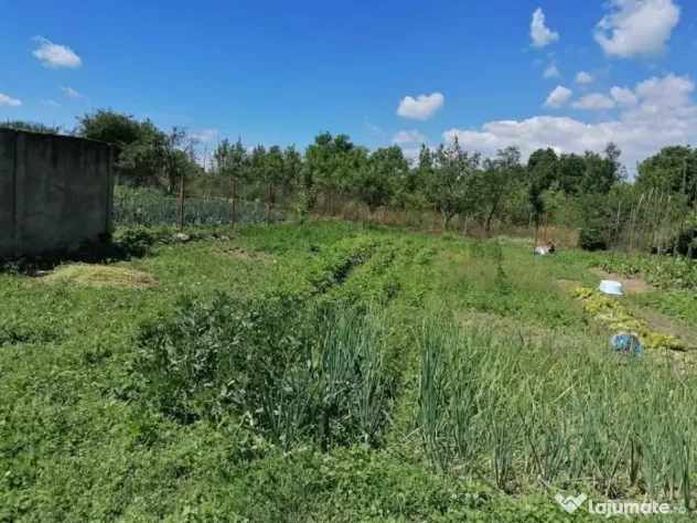 Casa individuala cu teren si priveliste spre munti
