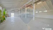 Spațiu industrial de 1716mp de vânzare Sfântu Gheorghe 