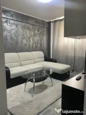 Dimitrie leonida berceni demisol 