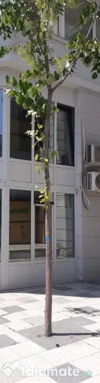 Spațiu comercial, Bulevardul Decebal – vizibilitate excelentă și pozi
