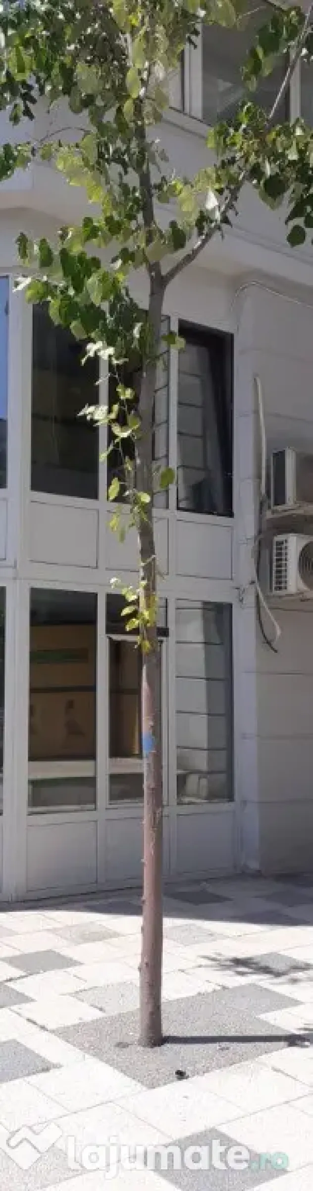 Spațiu comercial, Bulevardul Decebal – vizibilitate excelentă și pozi