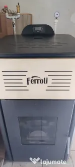 Vânzare termosemineu