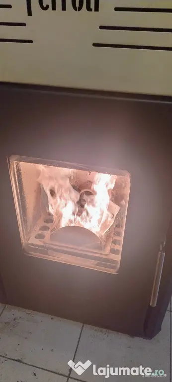 Vânzare termosemineu