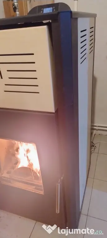 Vânzare termosemineu