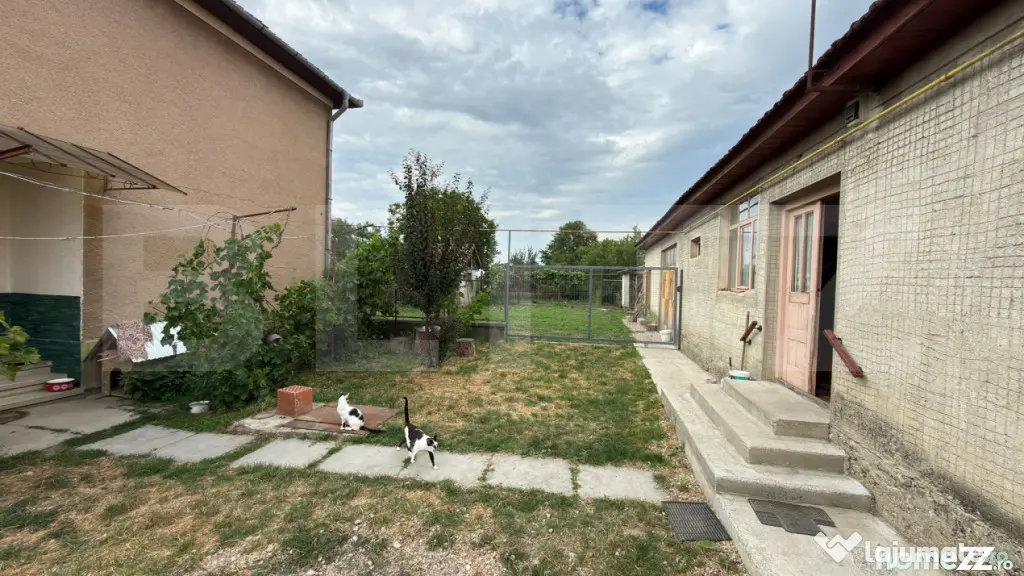 Casă P+1E, 180 mp, teren de 12 ari, anexă locuibilă și g - Satu Mare (Satu-Mare)